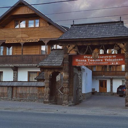 Hotel Pensiunea Teodora Teleptean Vadu Izei Zewnętrze zdjęcie