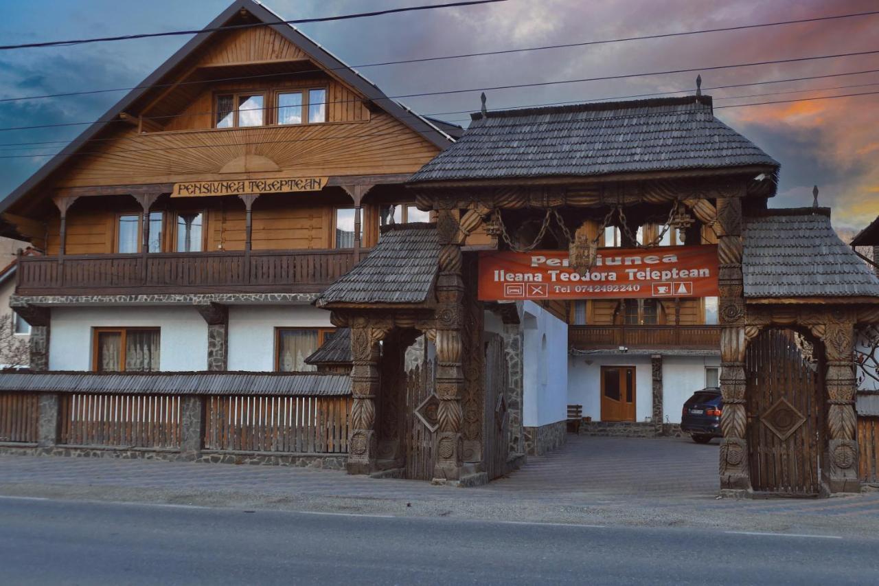 Hotel Pensiunea Teodora Teleptean Vadu Izei Zewnętrze zdjęcie